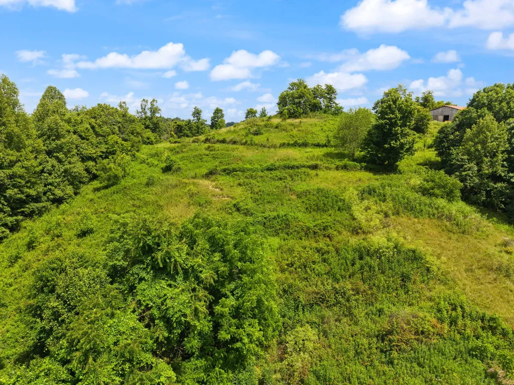 440 Randolph Road Olive Hill KY 41164