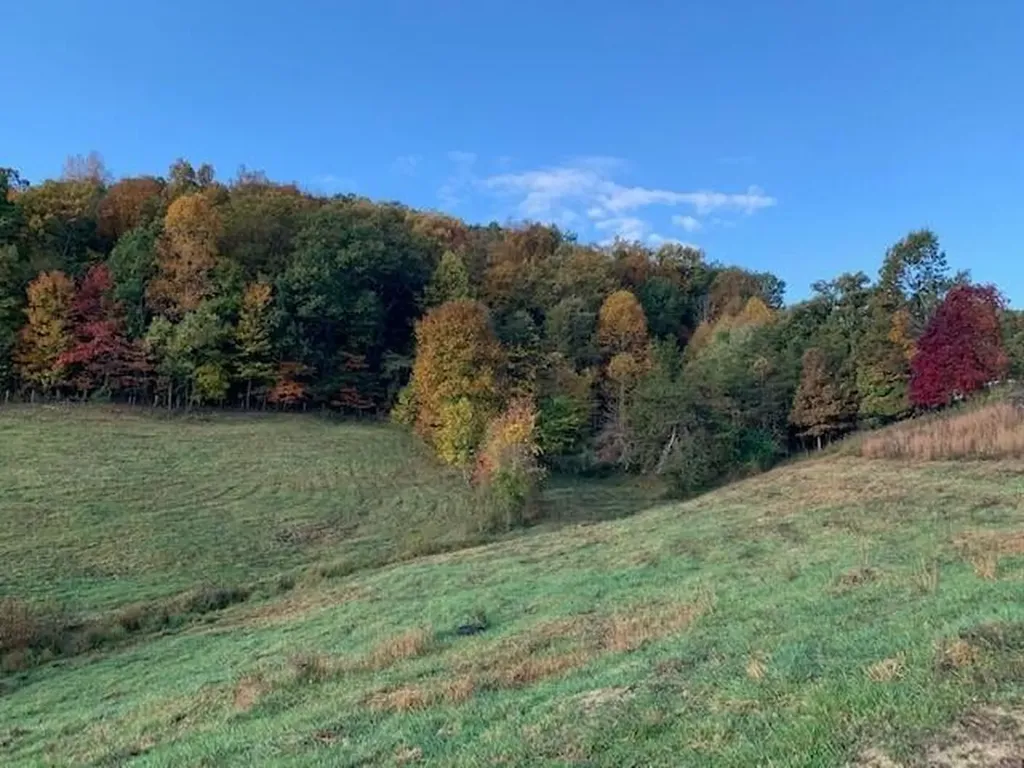 414 Copper Creek Road Berea KY 40403