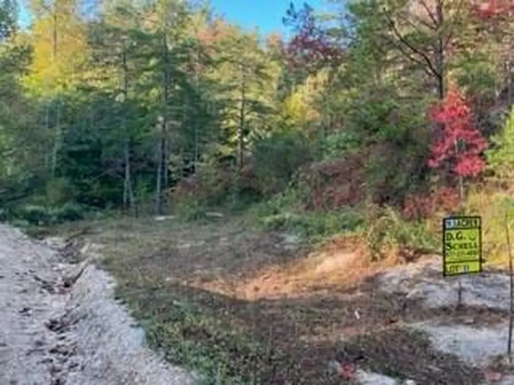 1003 Wilber Hill Road Blaine KY 41124