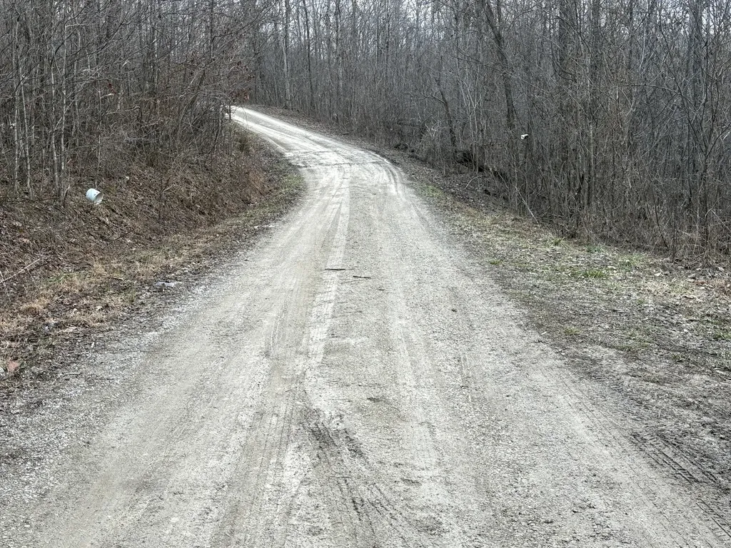 1251 Sarvice Hollow Road Irvine KY 40336