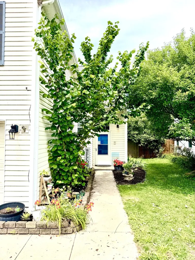 115 River Run Court Georgetown KY 40324