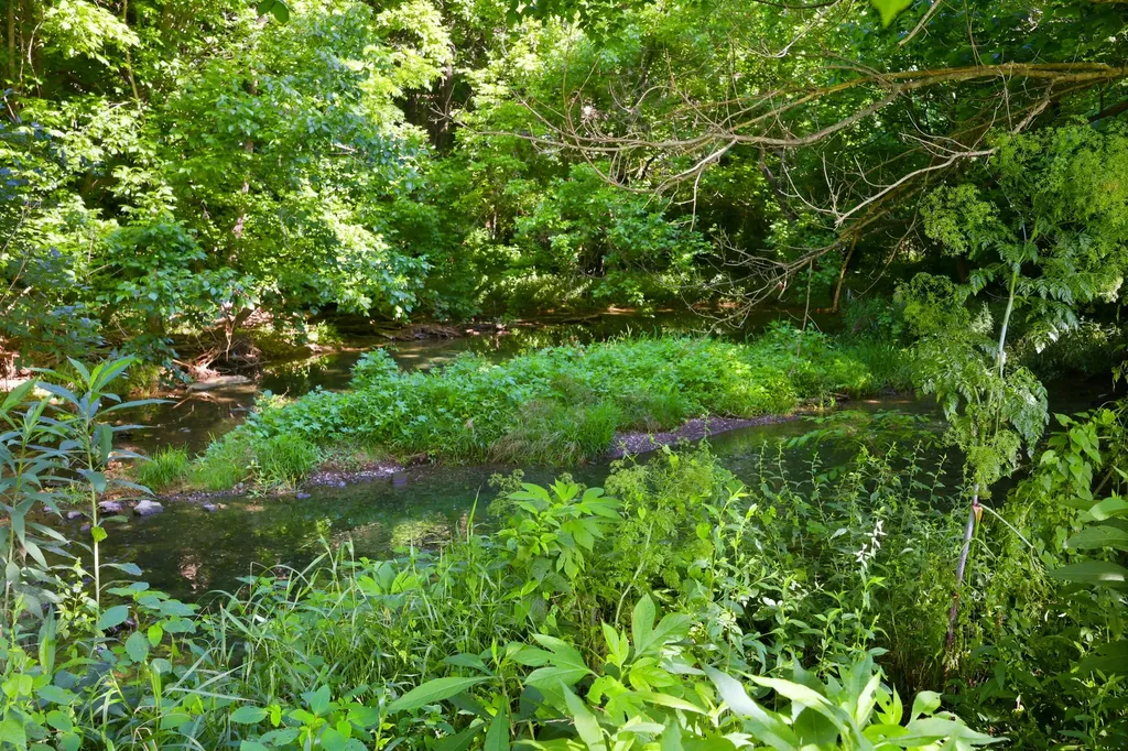 115 River Run Court Georgetown KY 40324