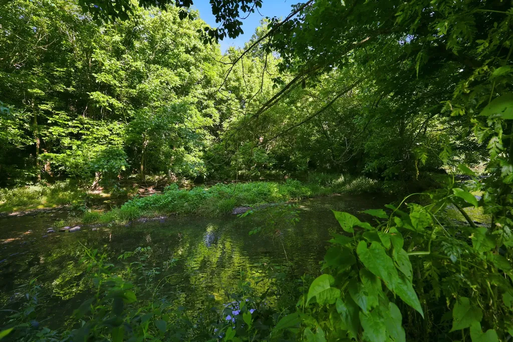 115 River Run Court Georgetown KY 40324