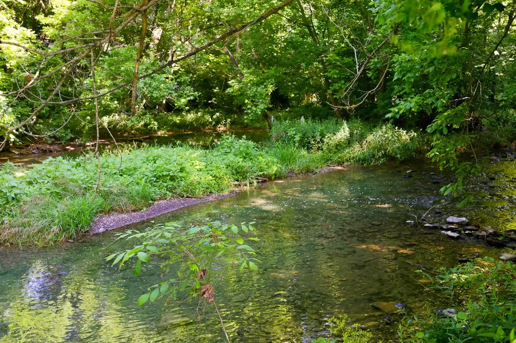 115 River Run Court Georgetown KY 40324