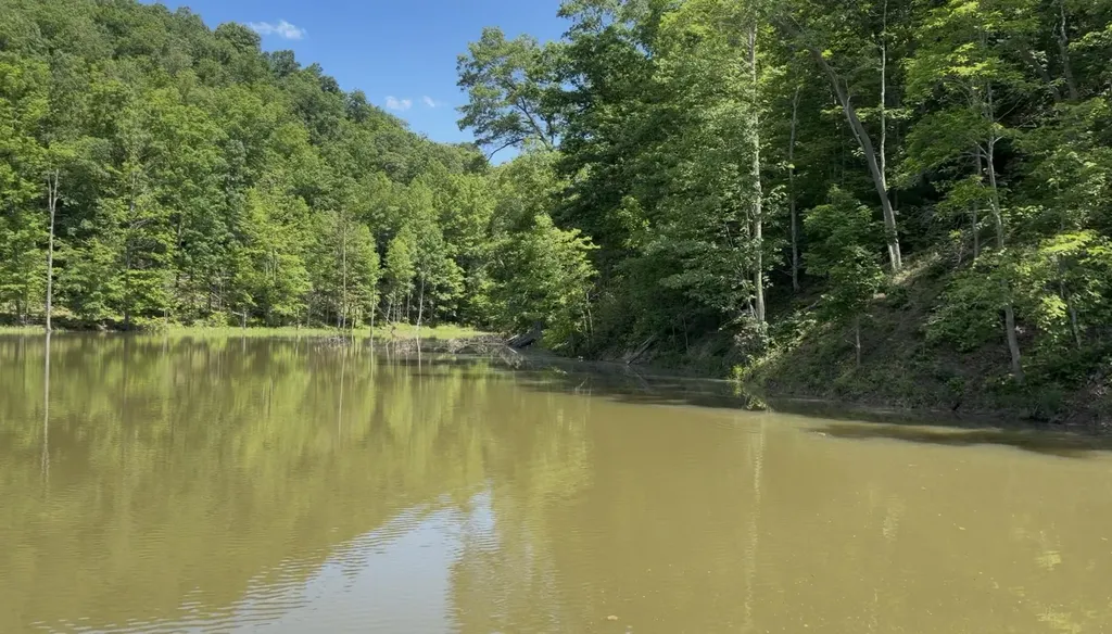 400 Clearfork Road Morehead KY 40351