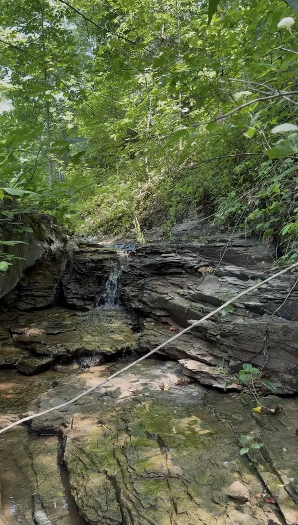 400 Clearfork Road Morehead KY 40351