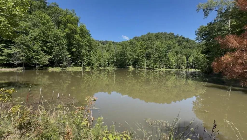 400 Clearfork Road Morehead KY 40351