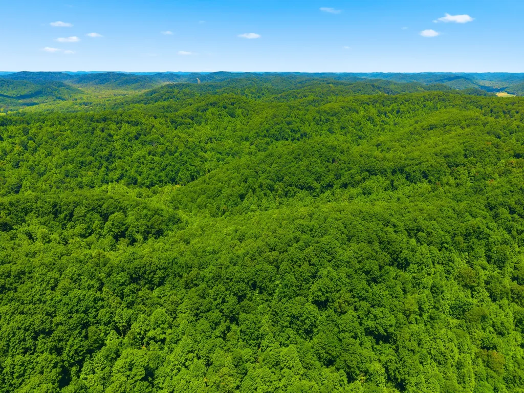 400 Clearfork Road Morehead KY 40351