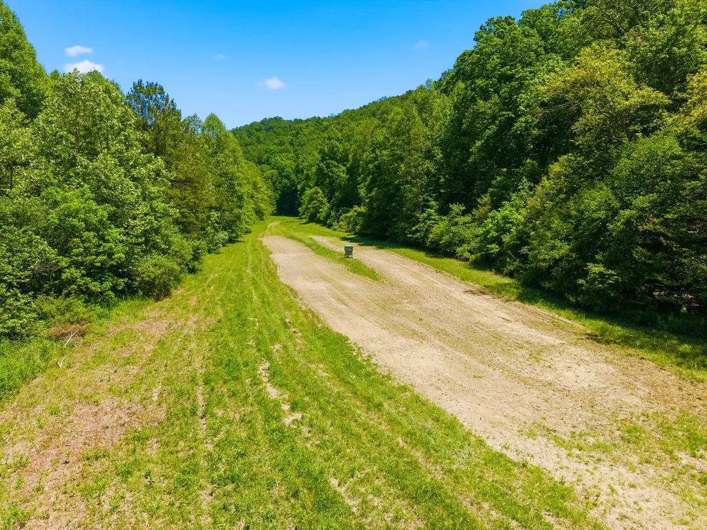 400 Clearfork Road Morehead KY 40351
