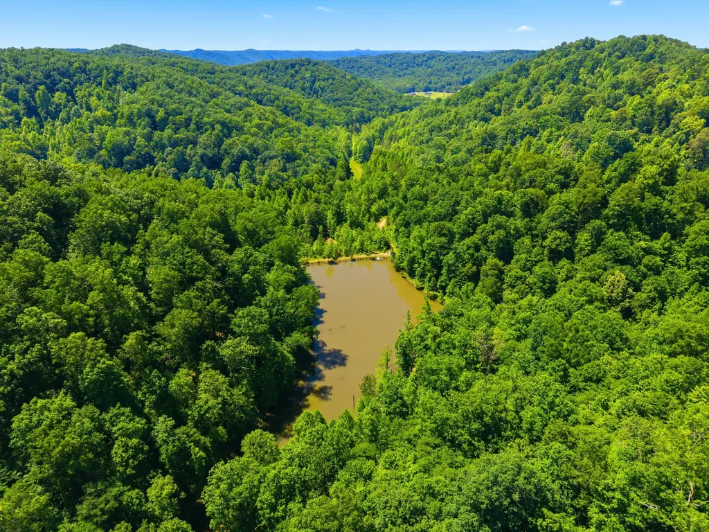 400 Clearfork Road Morehead KY 40351
