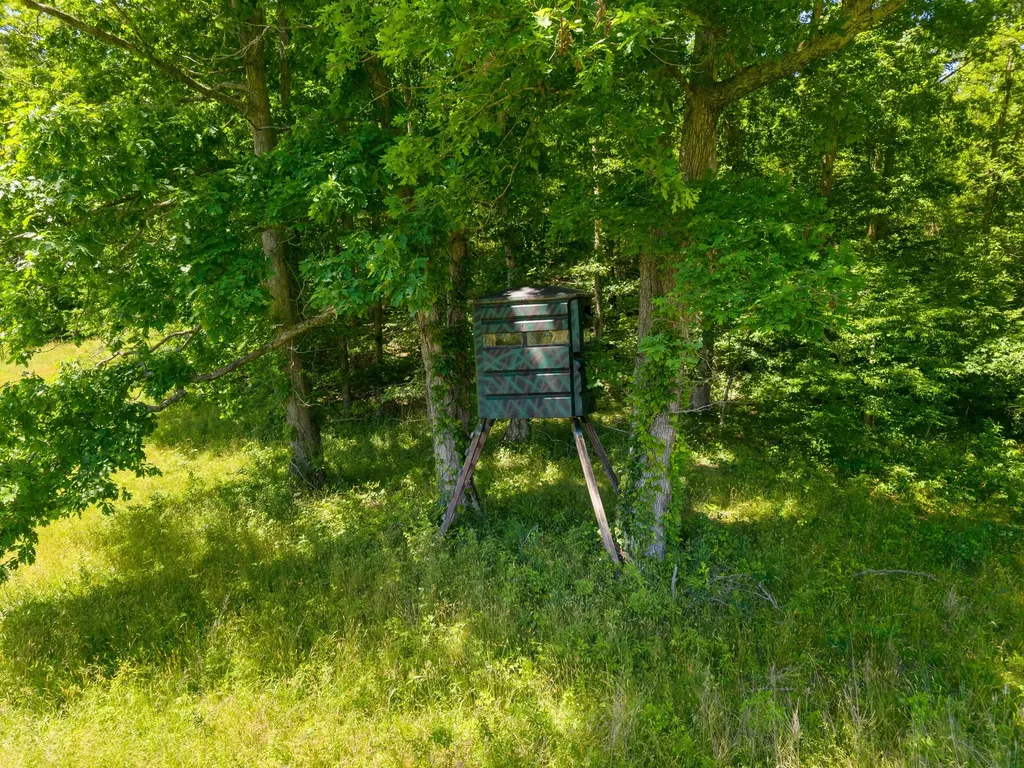 400 Clearfork Road Morehead KY 40351