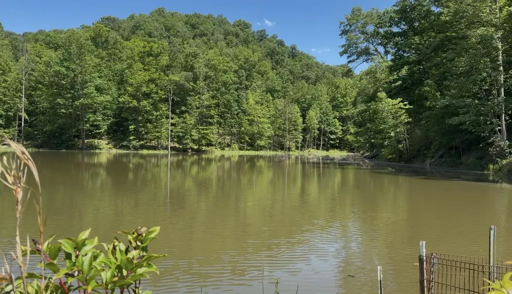 400 Clearfork Road Morehead KY 40351