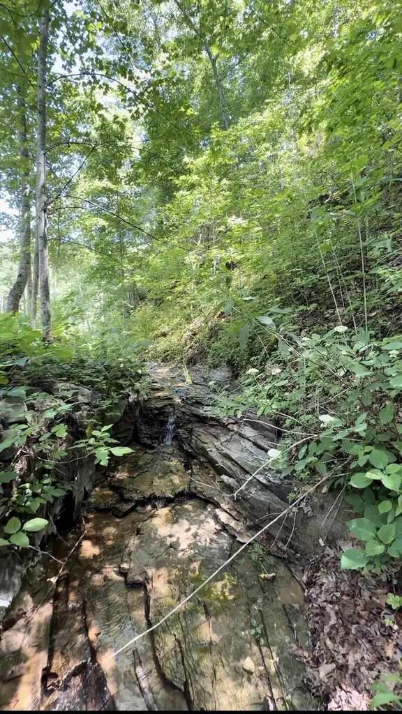 400 Clearfork Road Morehead KY 40351