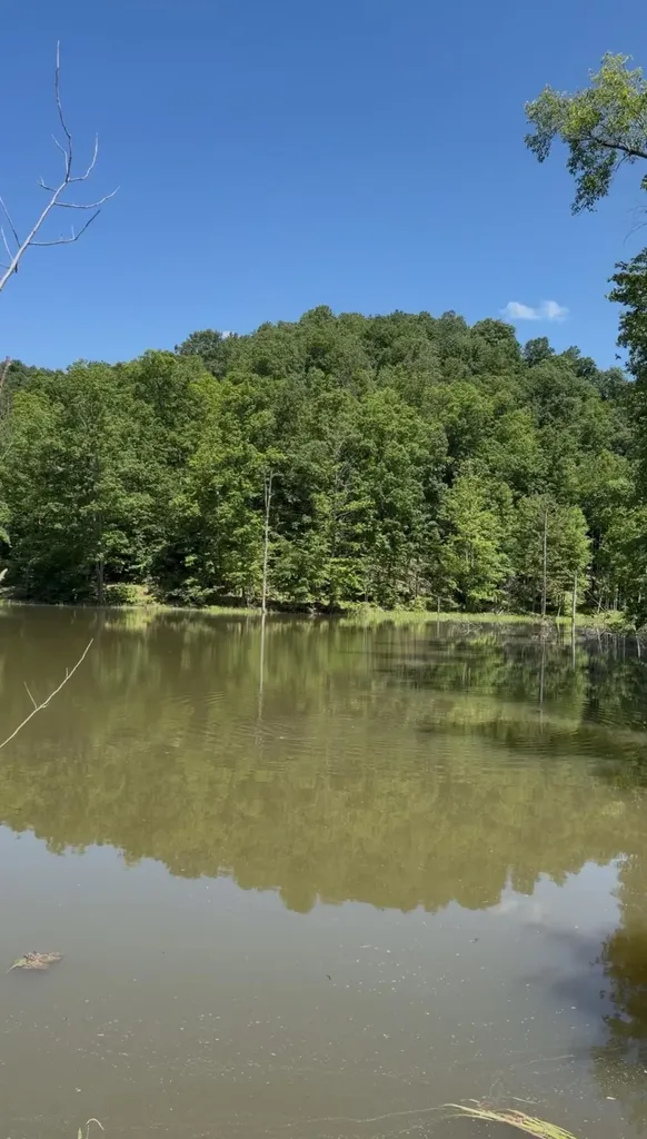 400 Clearfork Road Morehead KY 40351