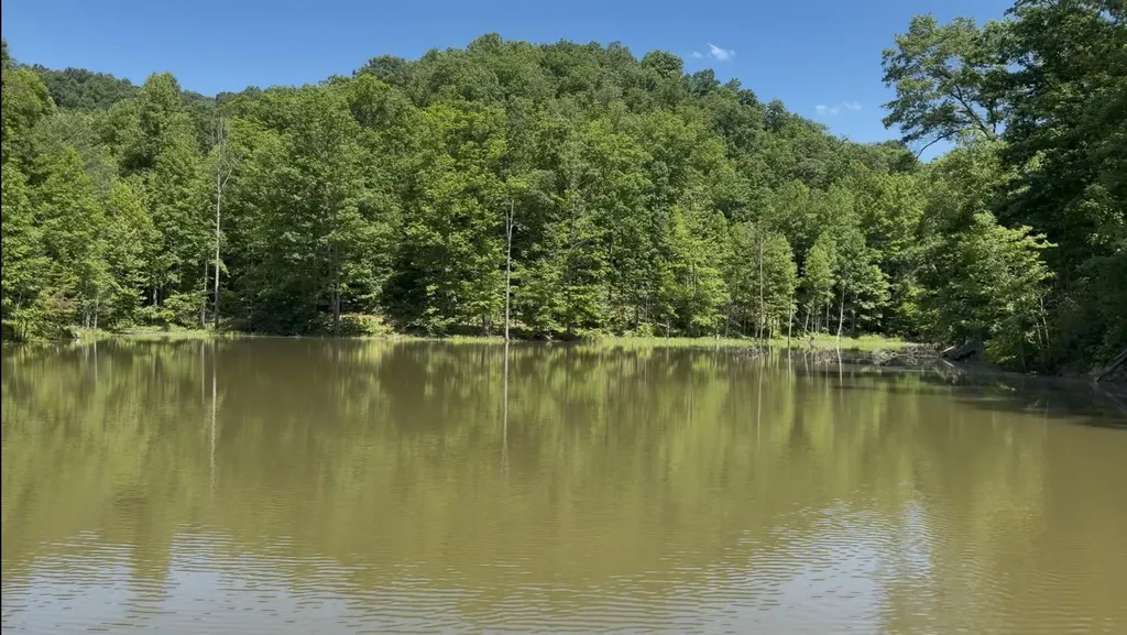 400 Clearfork Road Morehead KY 40351
