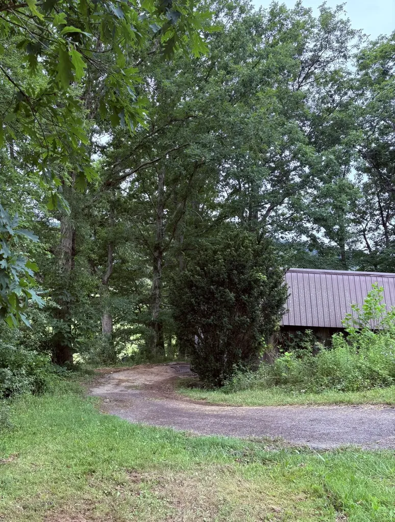 400 Clearfork Road Morehead KY 40351