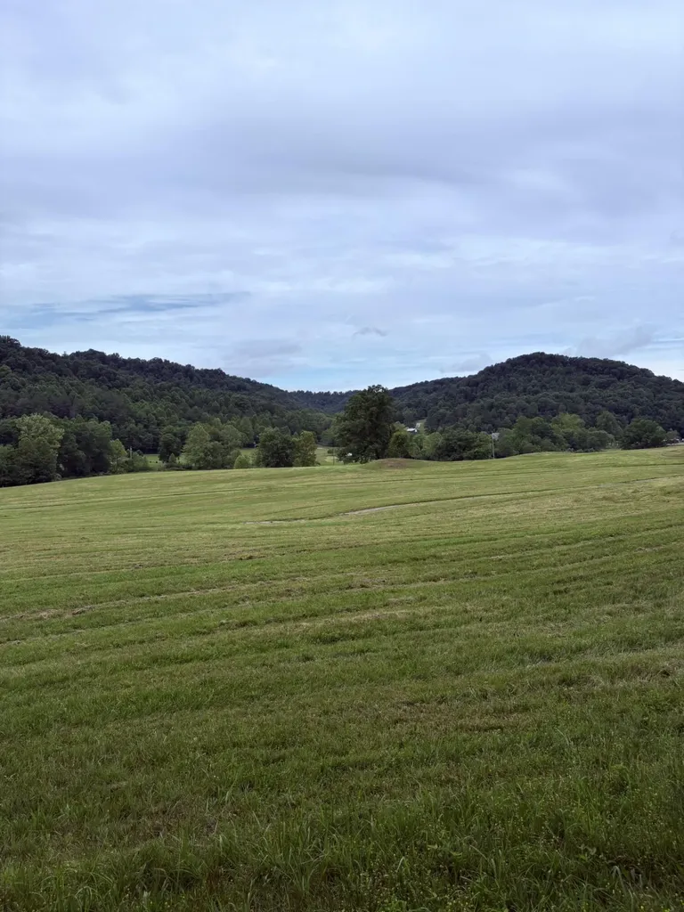 400 Clearfork Road Morehead KY 40351