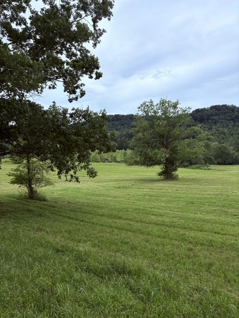 400 Clearfork Road Morehead KY 40351