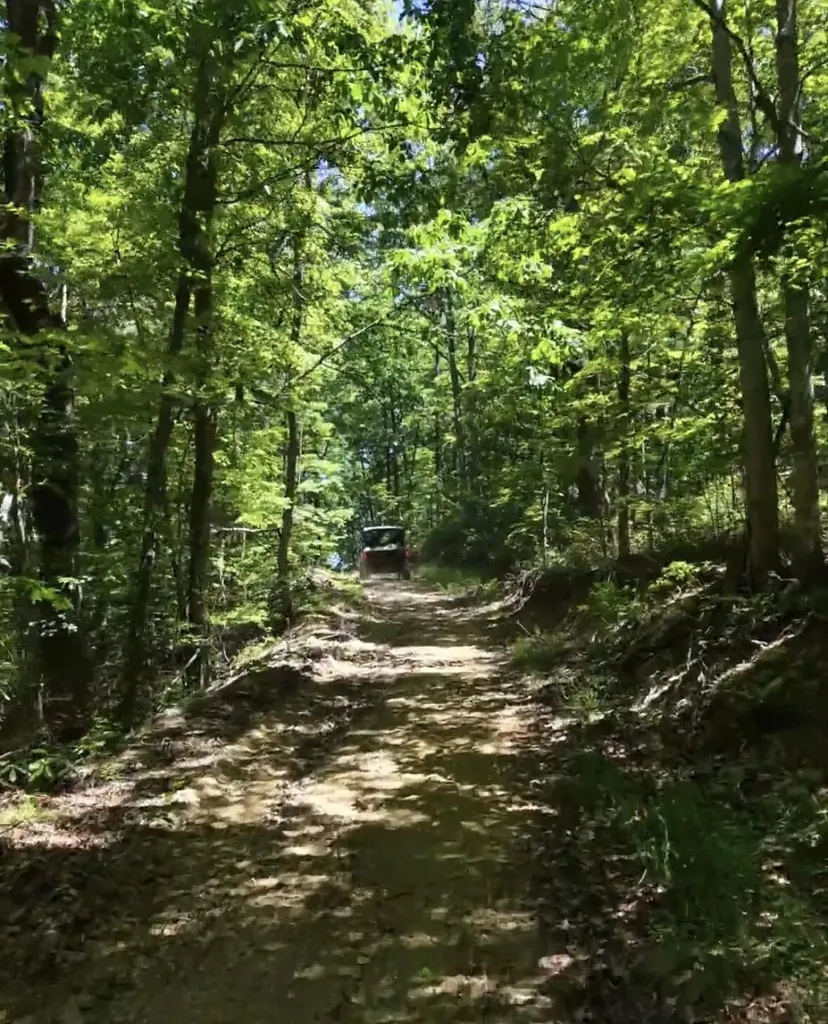 400 Clearfork Road Morehead KY 40351