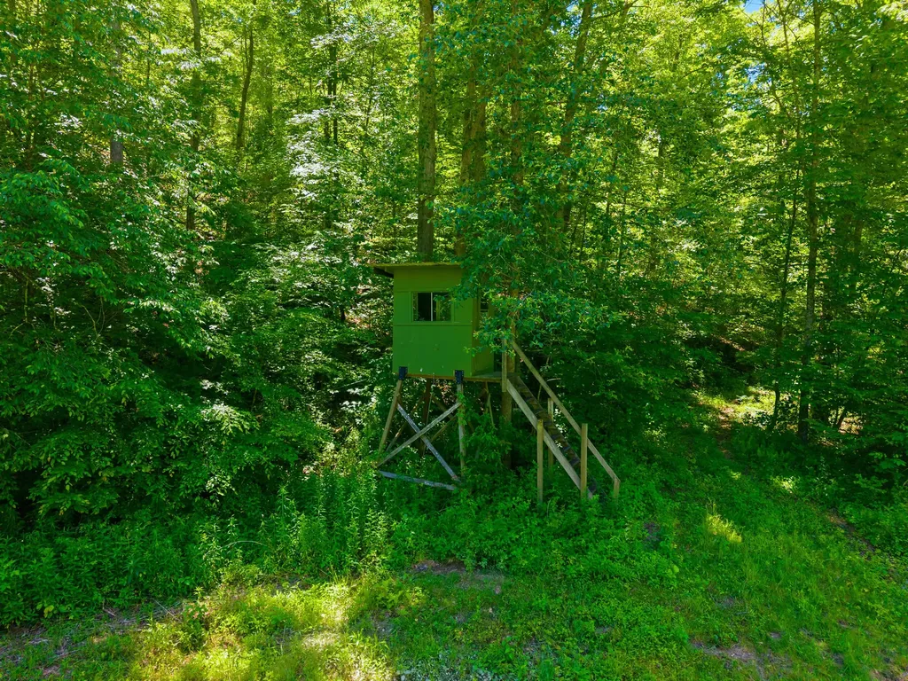 400 Clearfork Road Morehead KY 40351