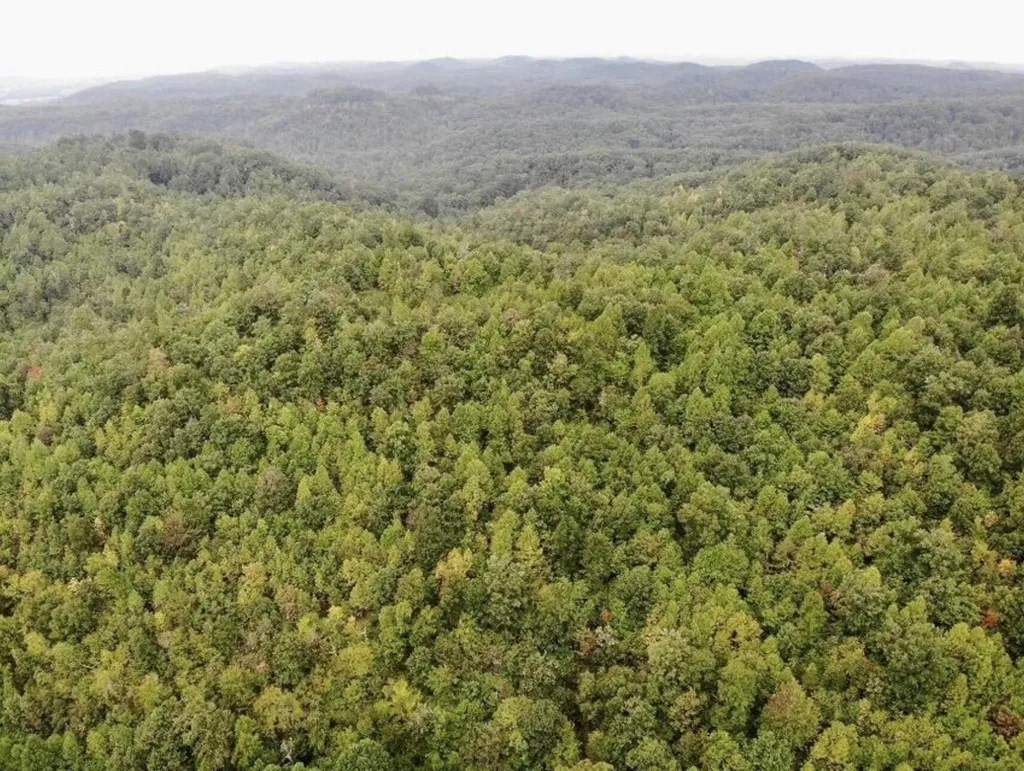 3680 Copper Creek Road Berea KY 40403
