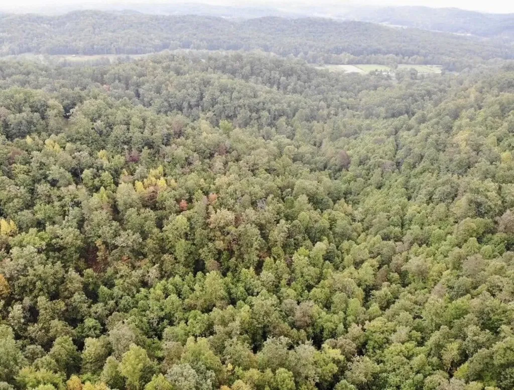 3680 Copper Creek Road Berea KY 40403