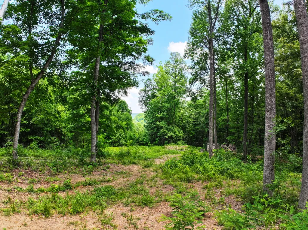 Lot 11 0 Happy Top Road Irvine KY 40336