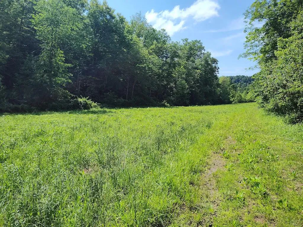 350 Boyd Cemetery Road Morehead KY 40351