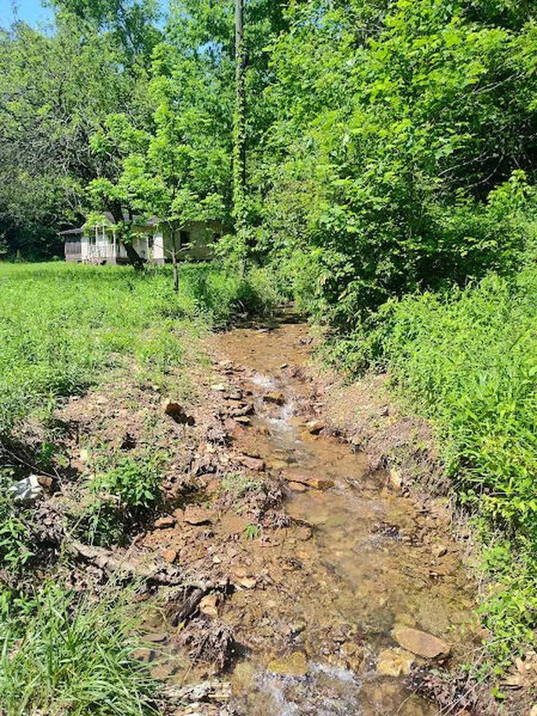 350 Boyd Cemetery Road Morehead KY 40351