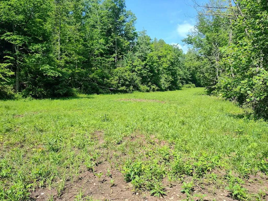 350 Boyd Cemetery Road Morehead KY 40351