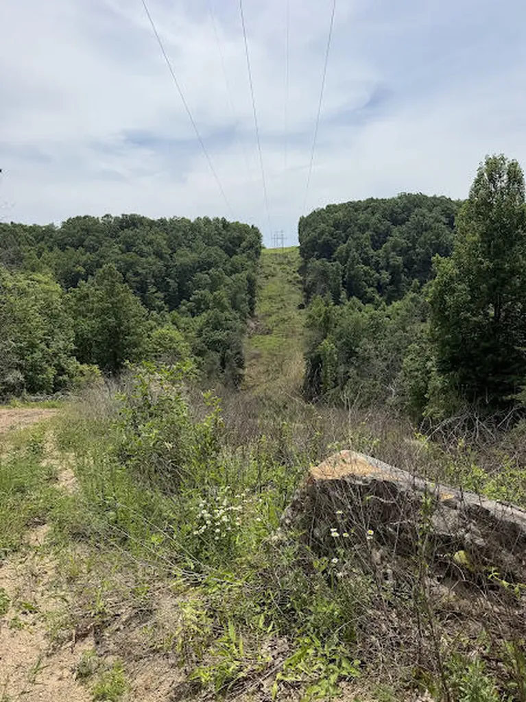 350 Boyd Cemetery Road Morehead KY 40351