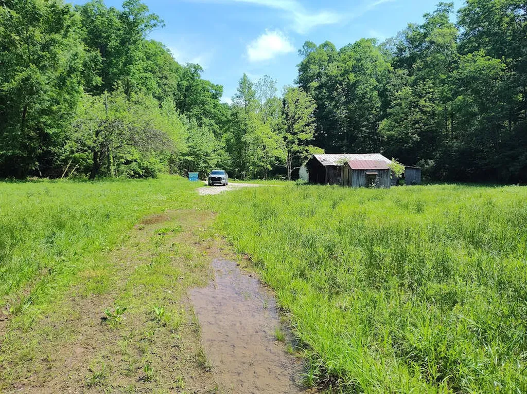 350 Boyd Cemetery Road Morehead KY 40351