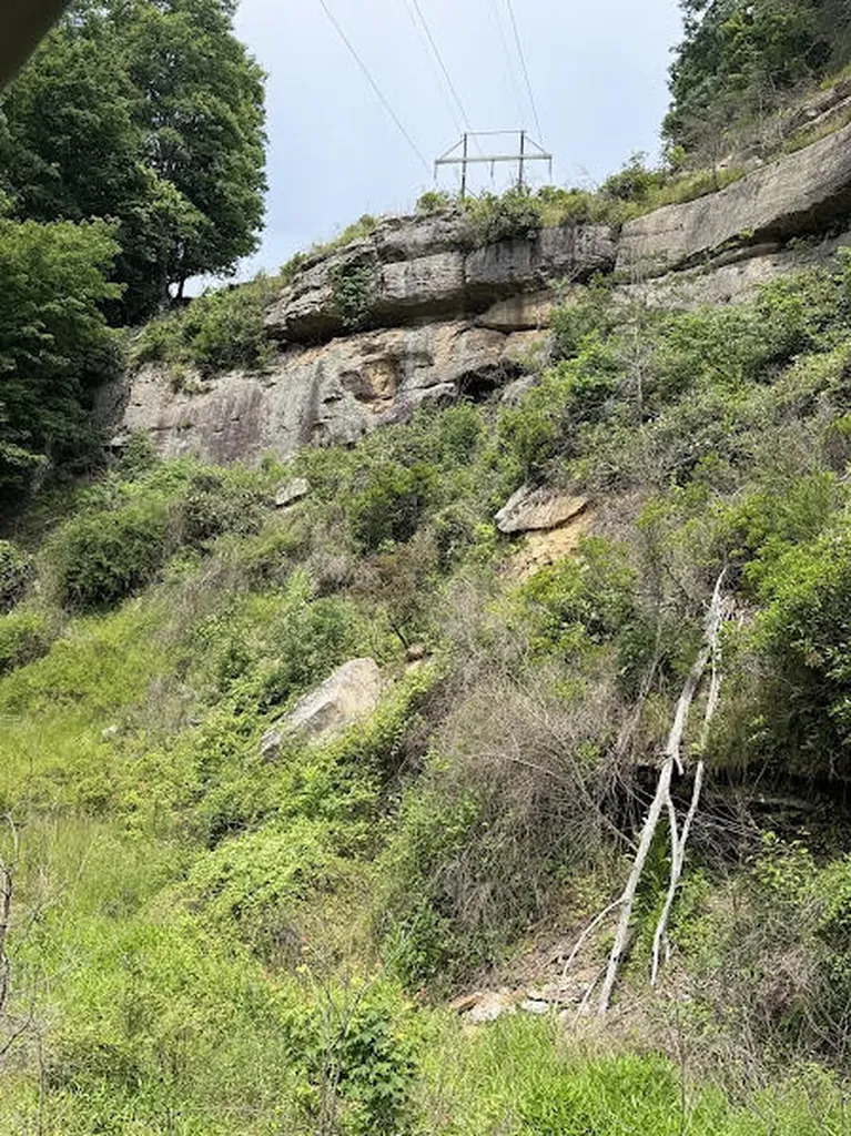 350 Boyd Cemetery Road Morehead KY 40351