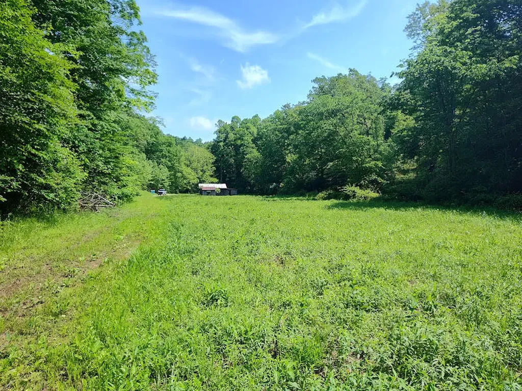 350 Boyd Cemetery Road Morehead KY 40351
