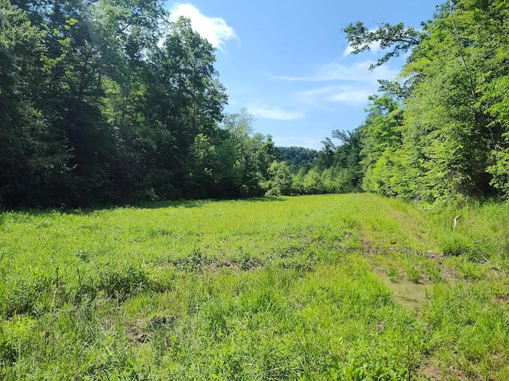 350 Boyd Cemetery Road Morehead KY 40351