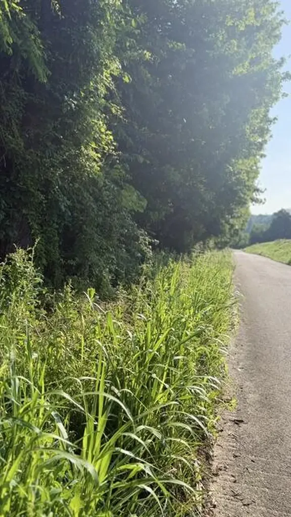 1350 Norwood Mt. Zion Road Science Hill KY 42553