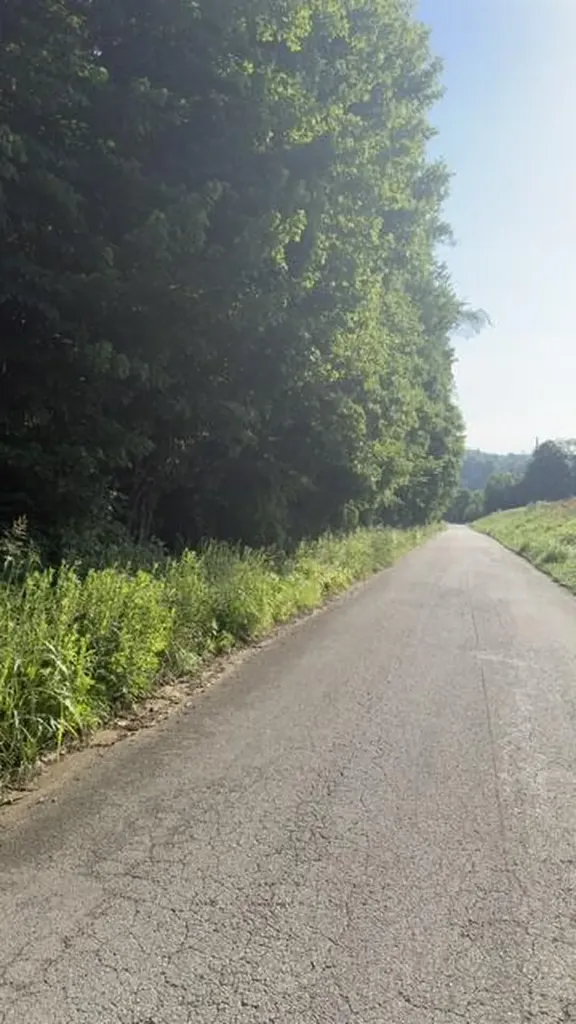 1350 Norwood Mt. Zion Road Science Hill KY 42553