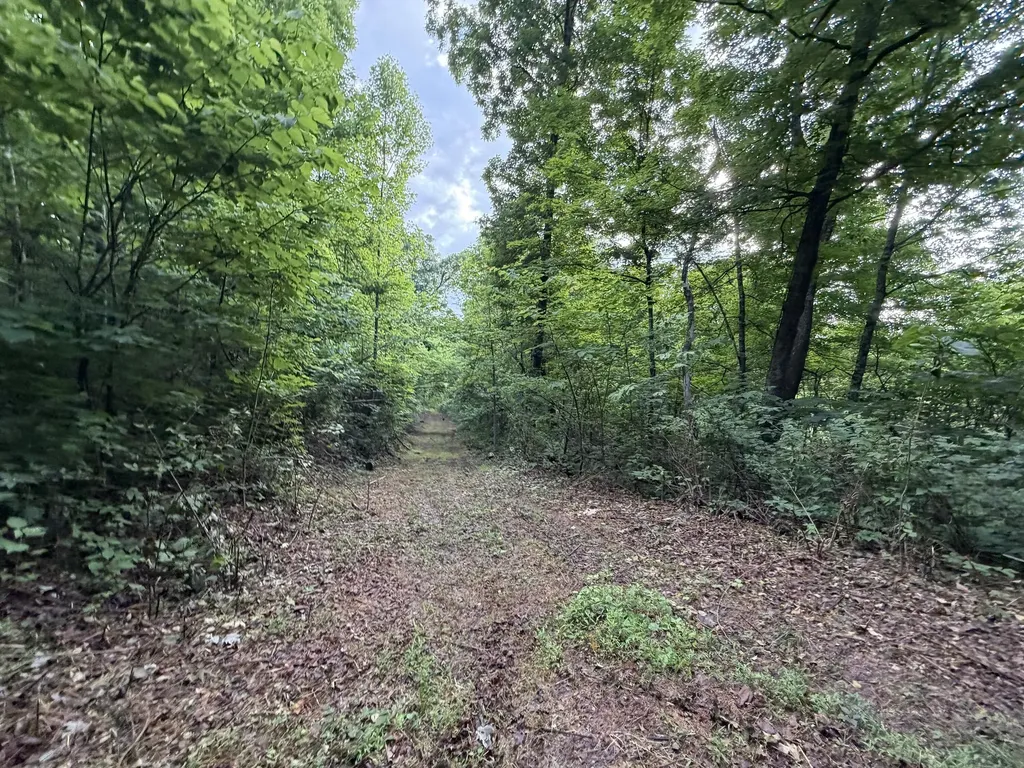 9999 2004 Highway Mckee KY 40447