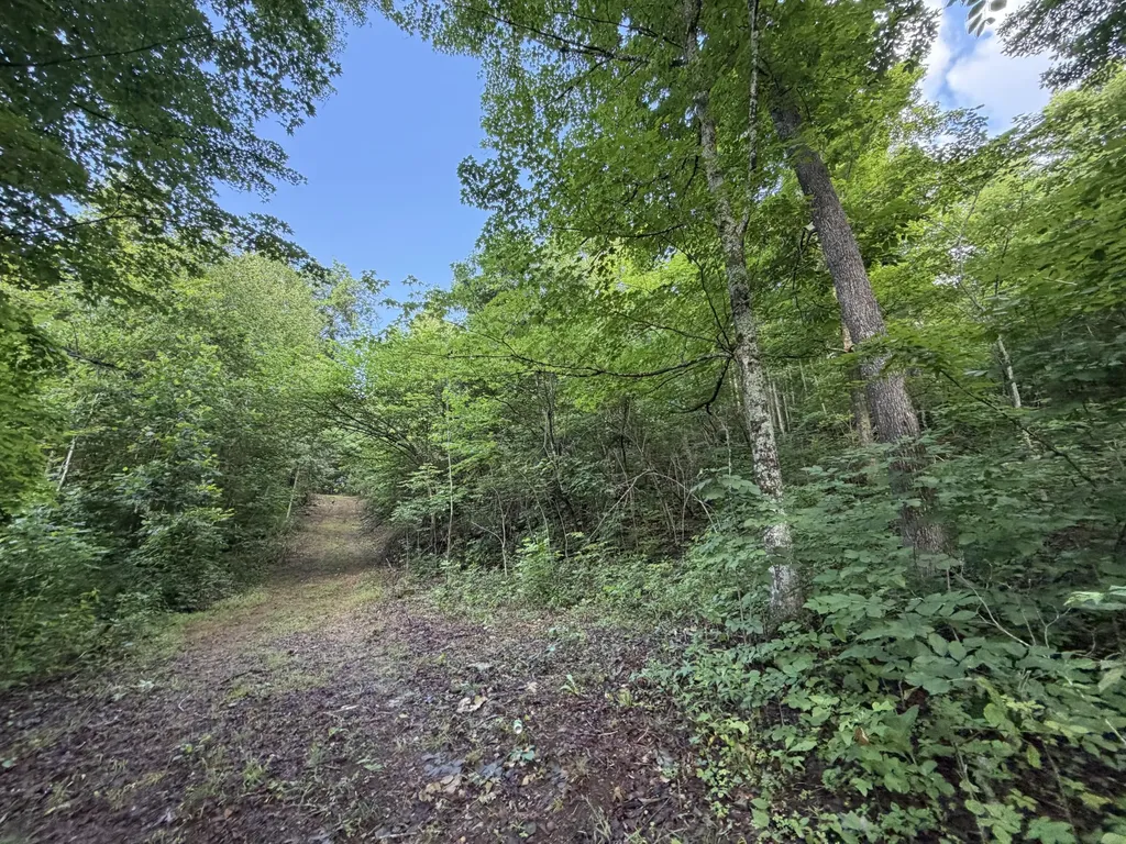 9999 2004 Highway Mckee KY 40447