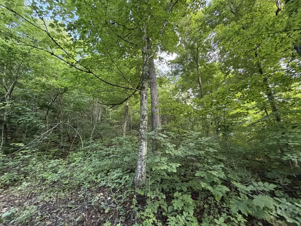9999 2004 Highway Mckee KY 40447