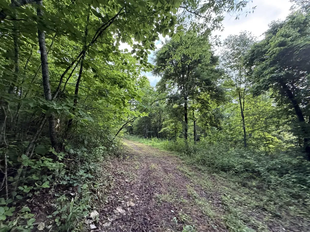 9999 2004 Highway Mckee KY 40447