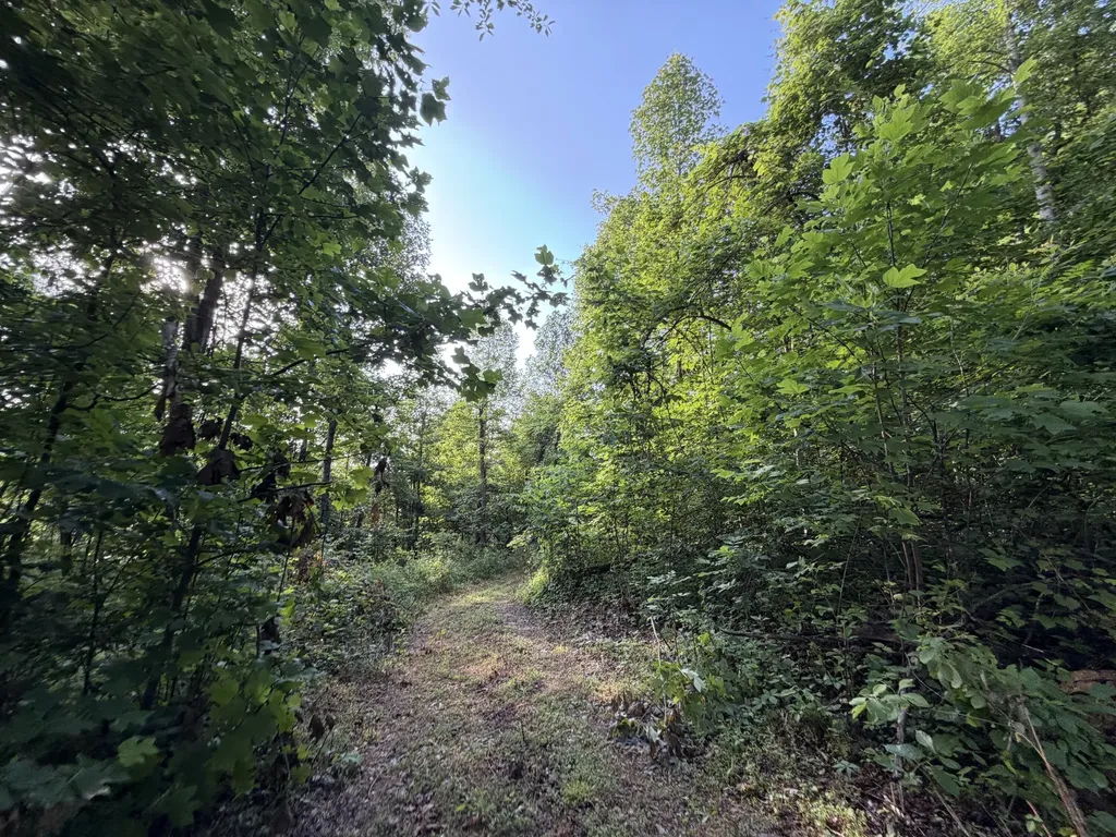 9999 2004 Highway Mckee KY 40447
