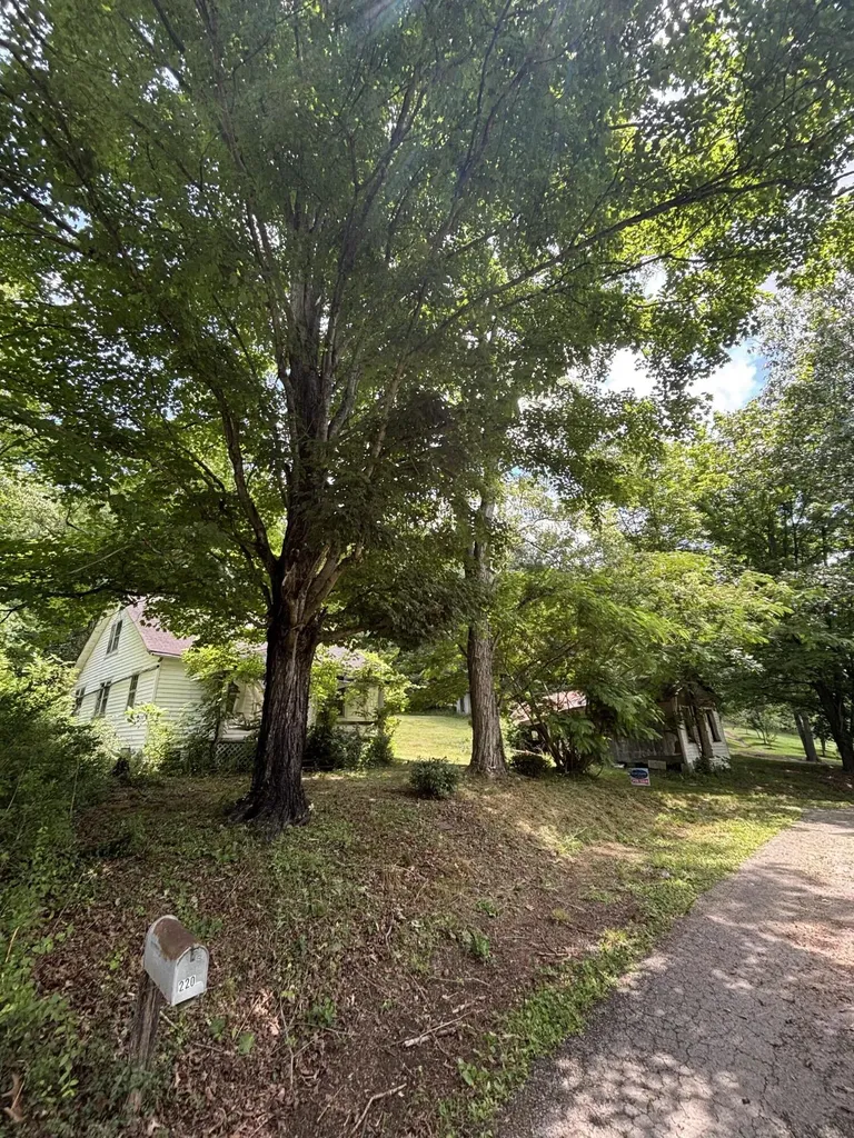 220 Peck Hollow Road Hustonville KY 40437