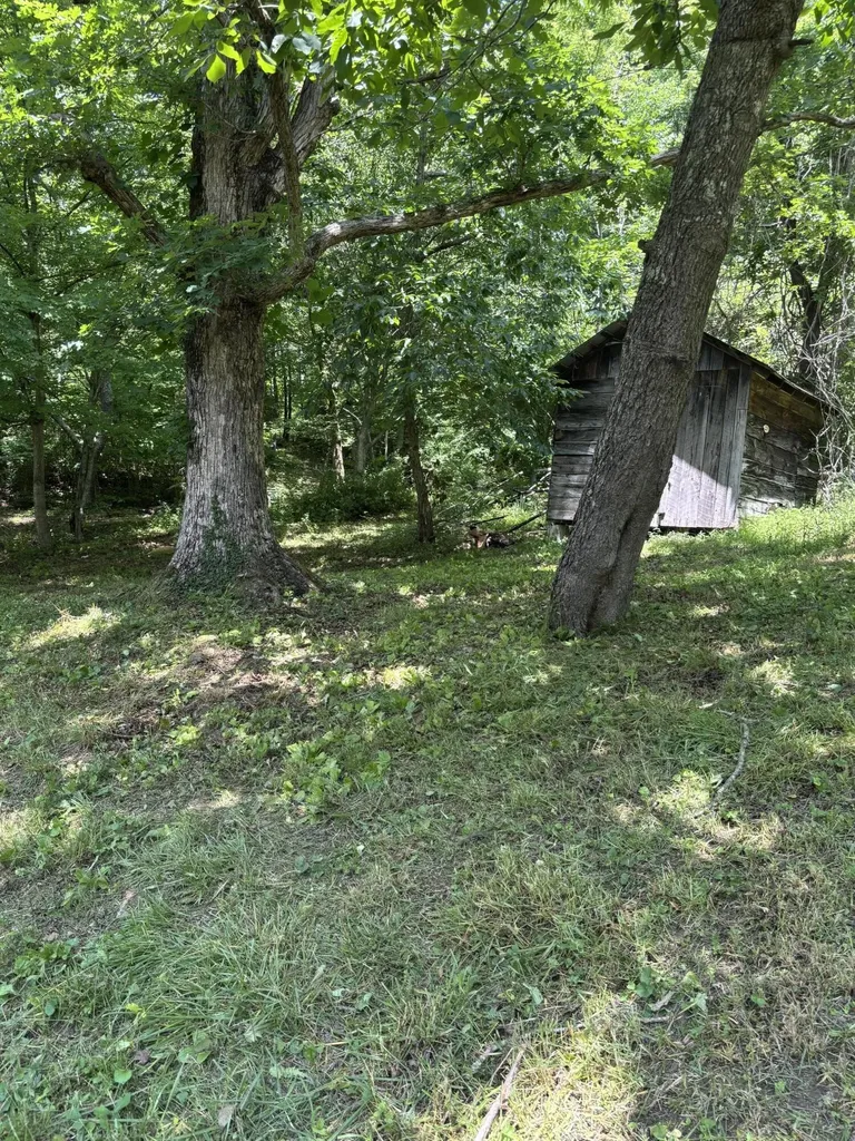 220 Peck Hollow Road Hustonville KY 40437