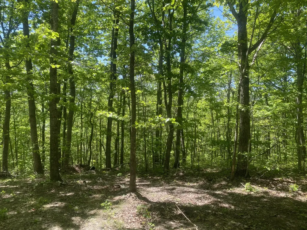 532 Rogers Lane Mckee KY 40447