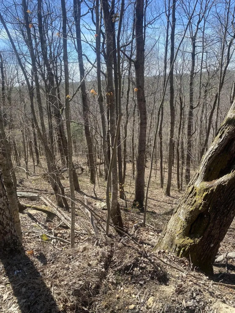 532 Rogers Lane Mckee KY 40447