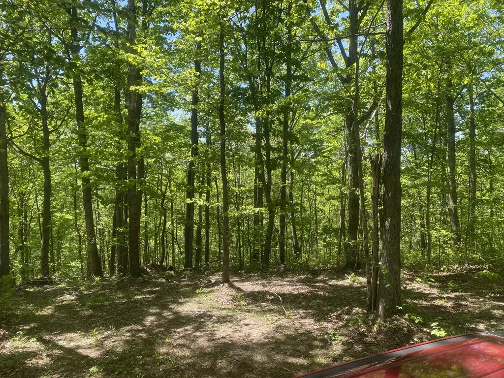 532 Rogers Lane Mckee KY 40447