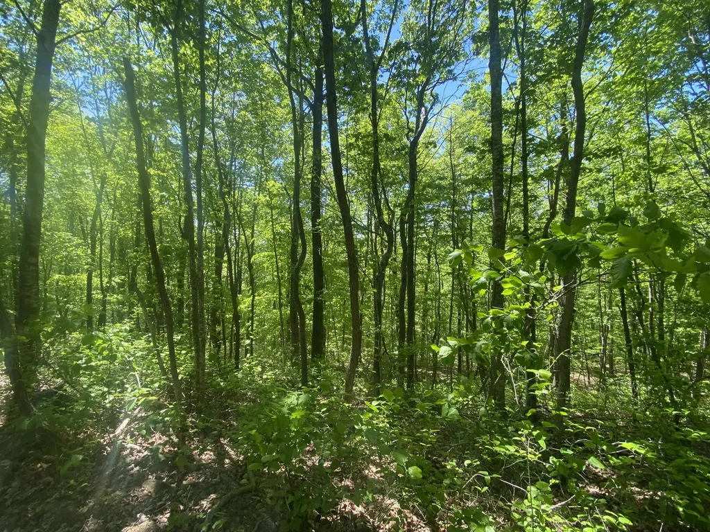 532 Rogers Lane Mckee KY 40447