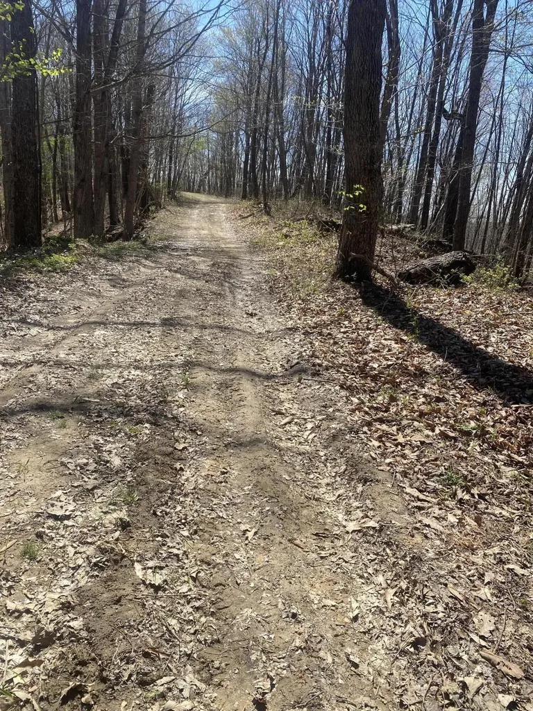 532 Rogers Lane Mckee KY 40447