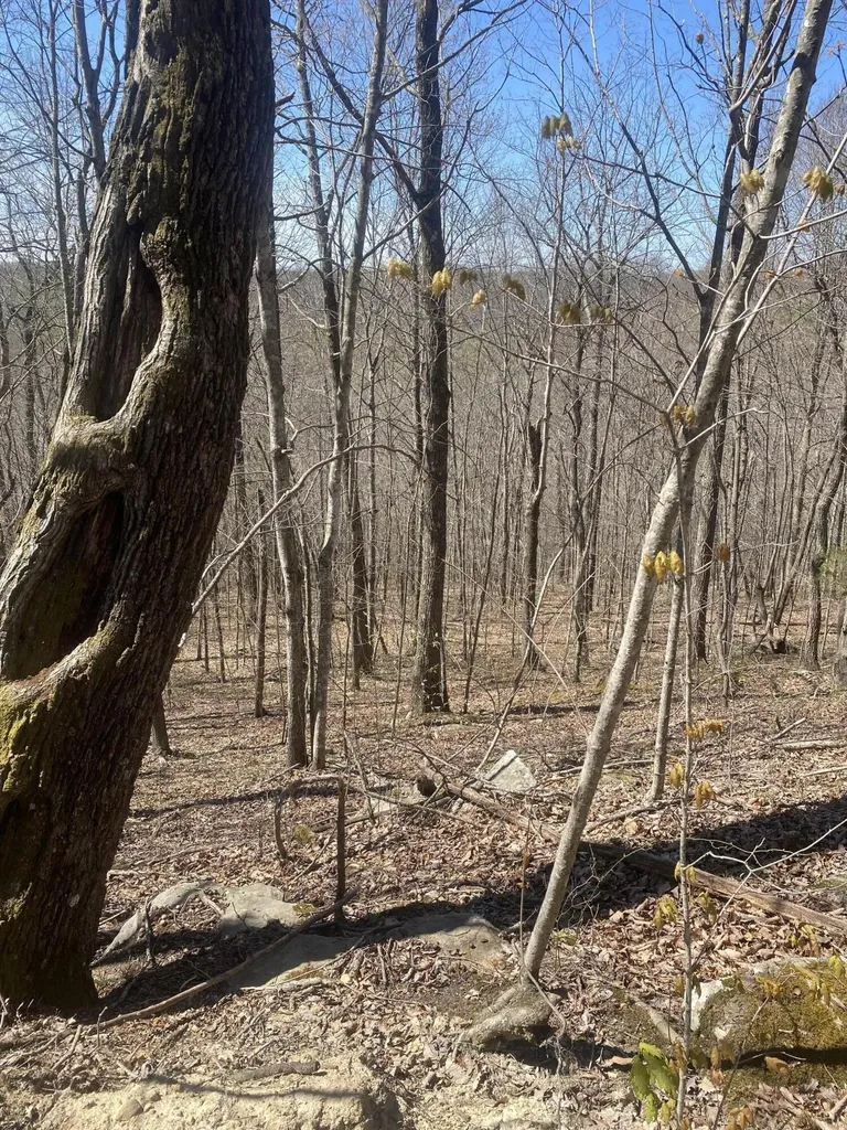 532 Rogers Lane Mckee KY 40447